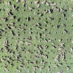 GT230 Lich met Iphone 3 LR