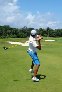 Flinggolf1