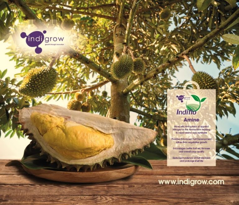 Indigrow to Exhibit at HortEx Vietnam