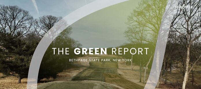 Syngenta green report