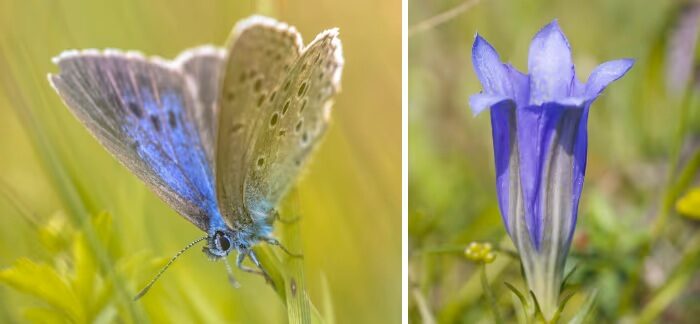 Syngenta Highlights Sustainability Successes