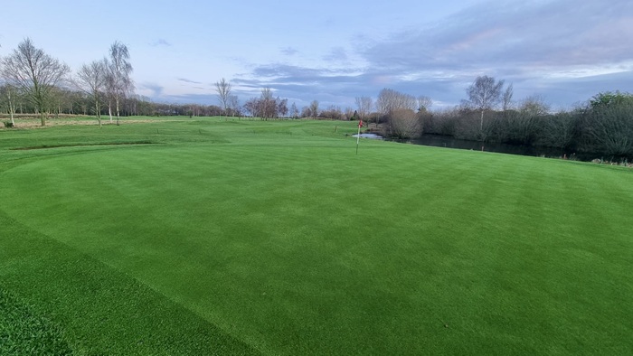 Suståne’s All-Purpose Formula for Success